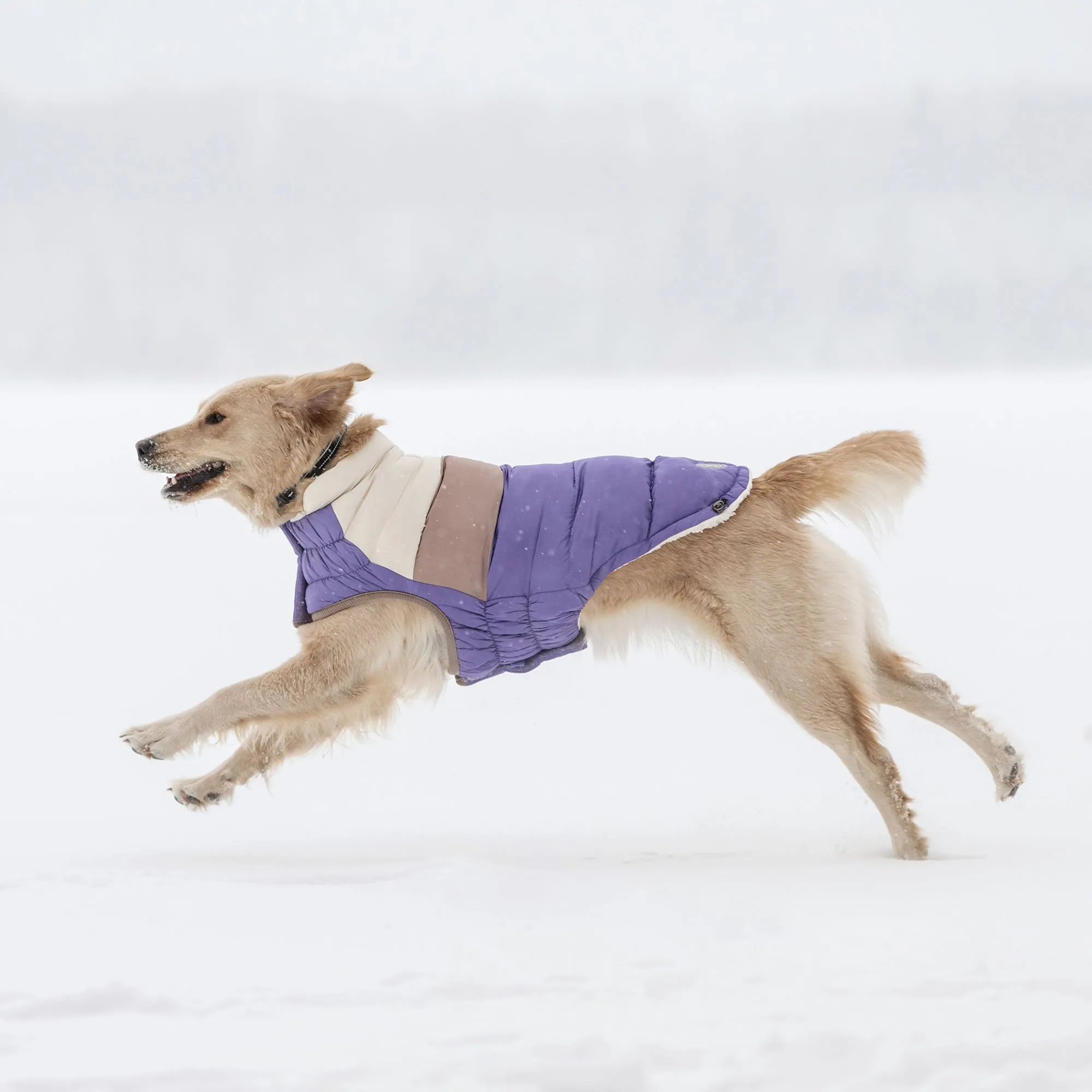 Color Block Dog Puffer Winter Coats