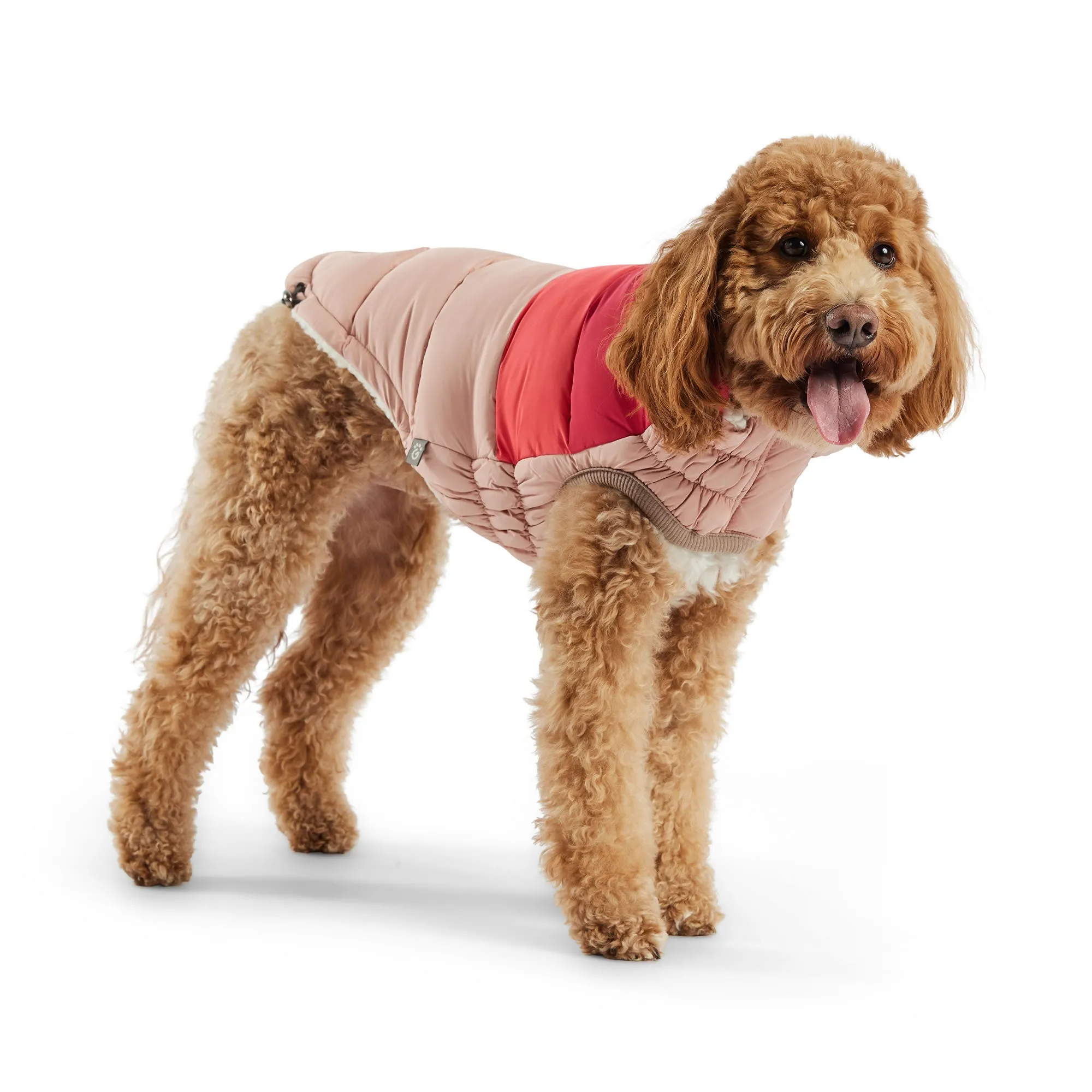 Color Block Dog Puffer Winter Coats