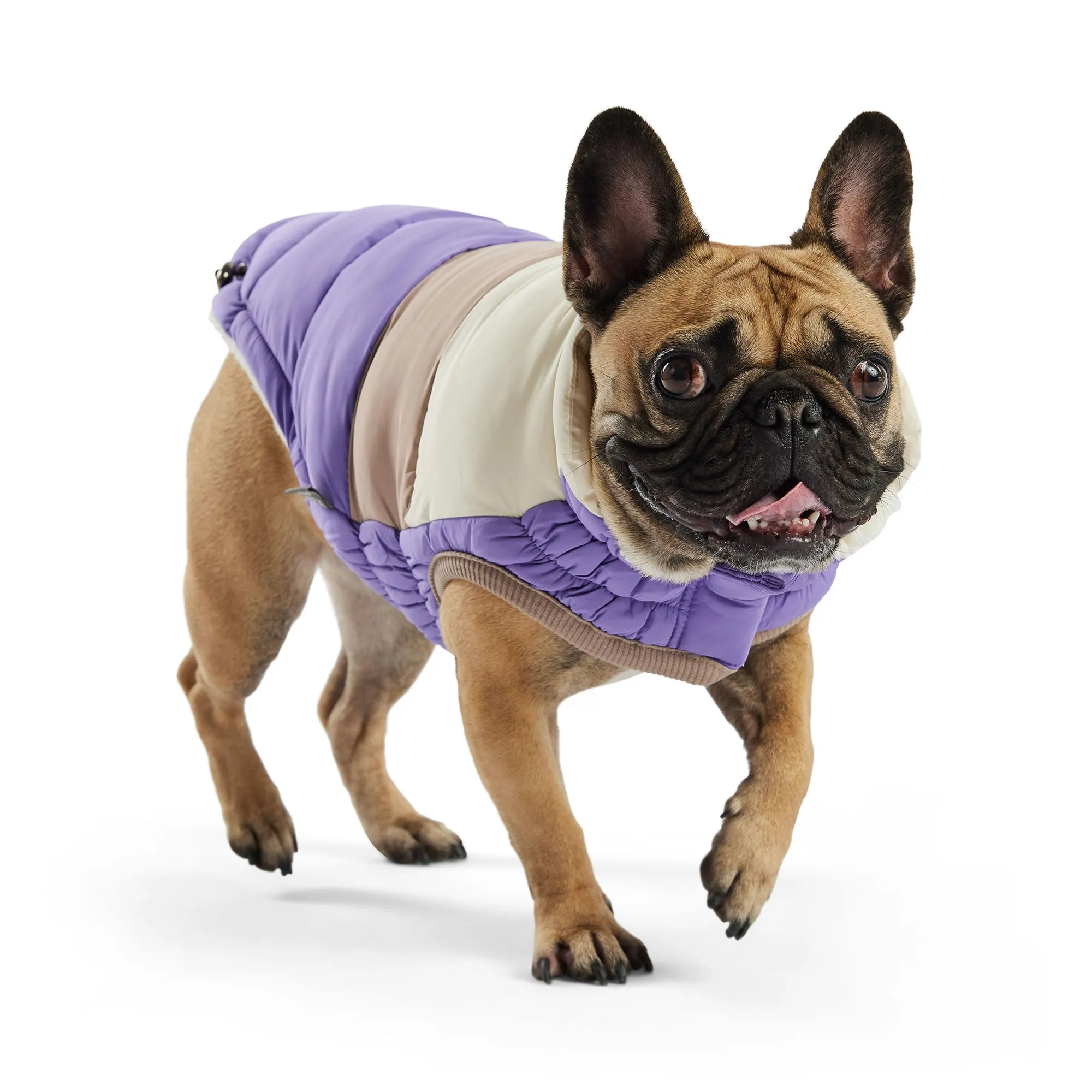 Color Block Dog Puffer Winter Coats