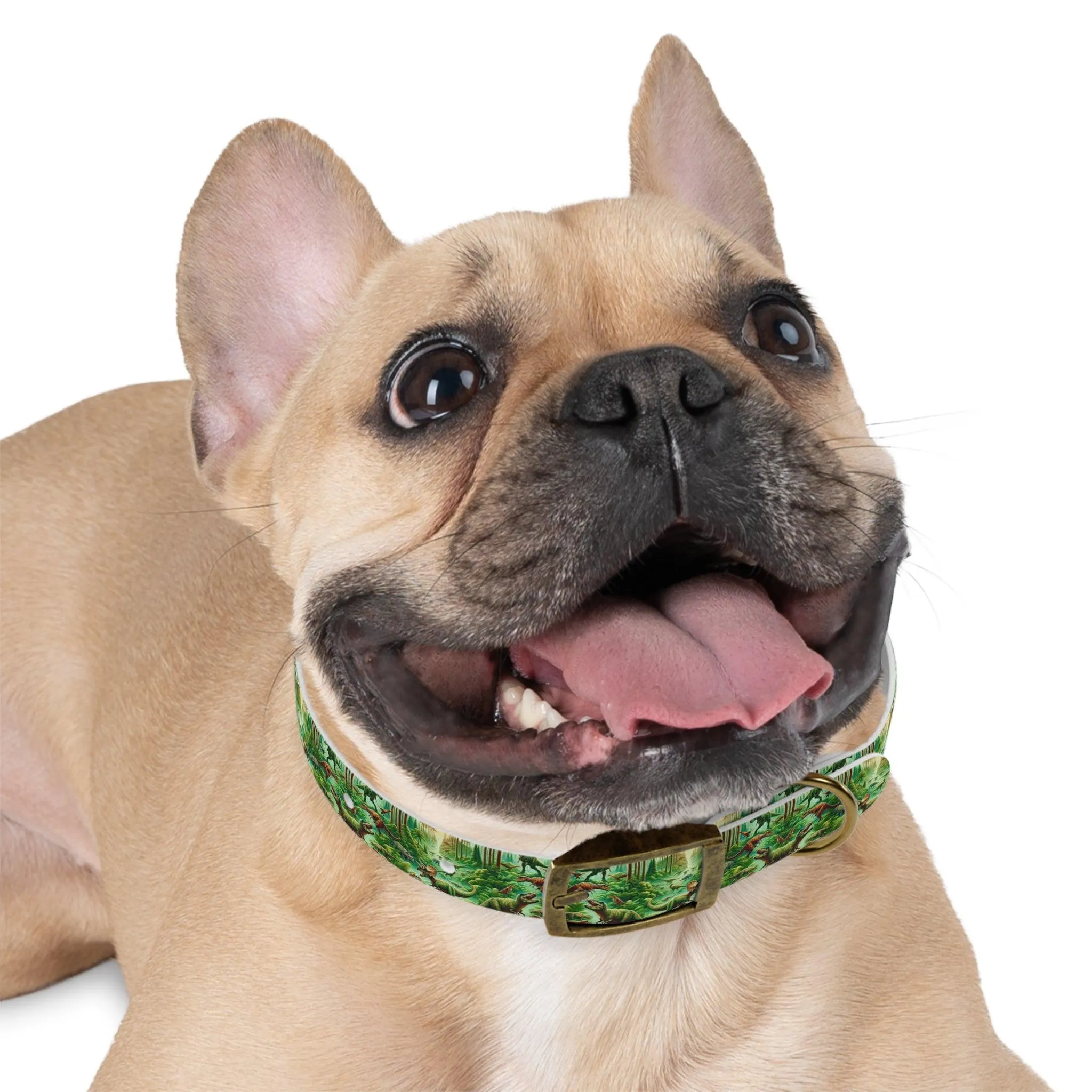 Jurassic Bark Collar