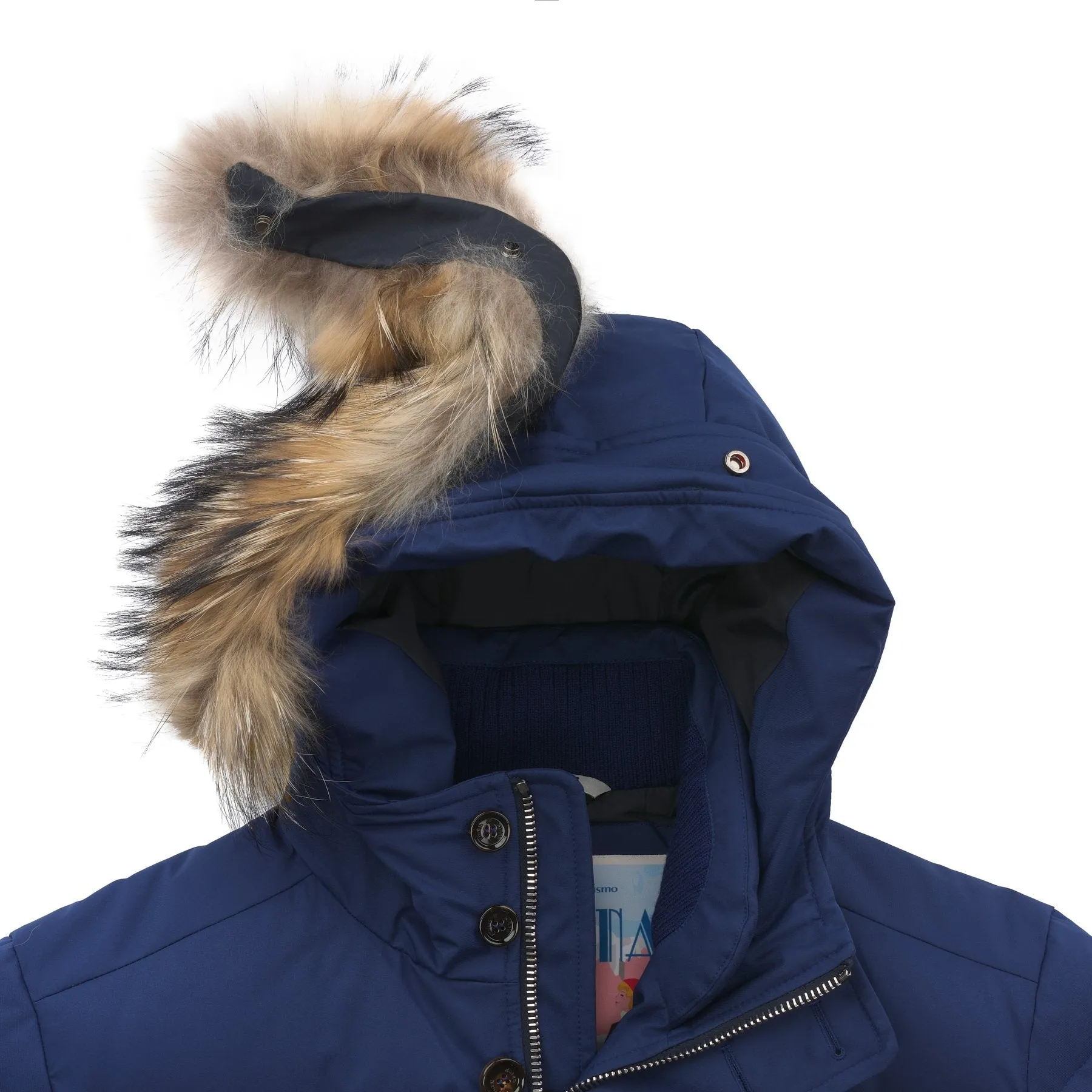 Quilled Shell Down Parka with Fur Trimmed Hood